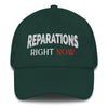 Reparations Right NOW ✊🏿✊🏾✊🏽Embroidered Hat, Unisex